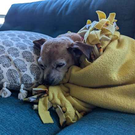 Slim Charles (Slim Shady)