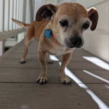 Slim Charles (Slim Shady)