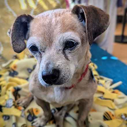 Slim Charles (Slim Shady)