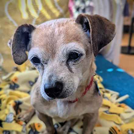 Slim Charles (Slim Shady)