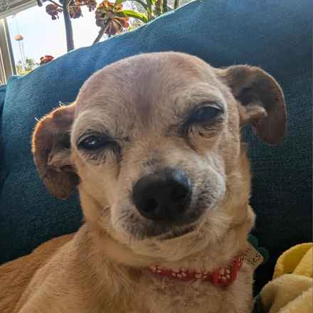 Slim Charles (Slim Shady)