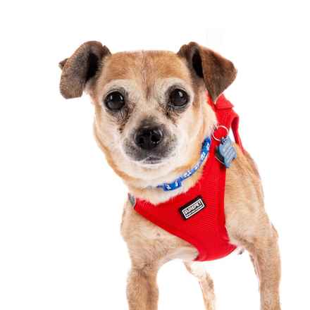 Slim Charles (Slim Shady)