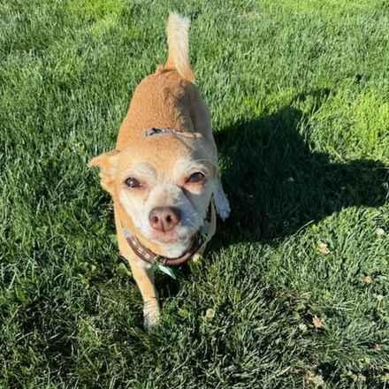 Tugboat Annie (Annie)