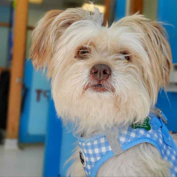 Damian Trujillo (Joseph)