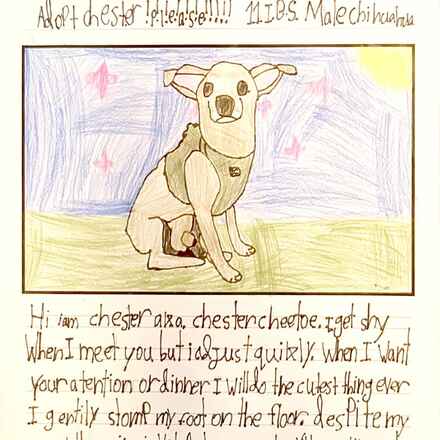 Chester