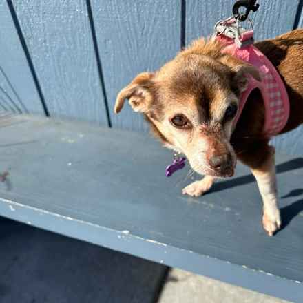 Taylor Frankie Paul (Lola)