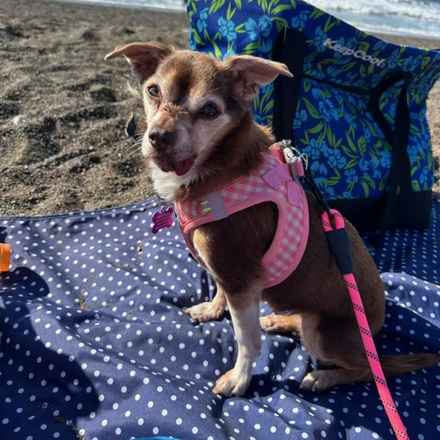 Taylor Frankie Paul (Lola)