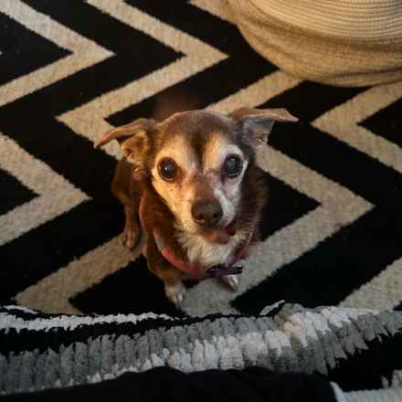 Taylor Frankie Paul (Lola)