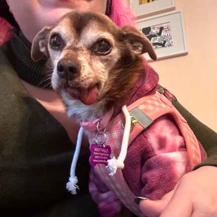 Taylor Frankie Paul (Lola)