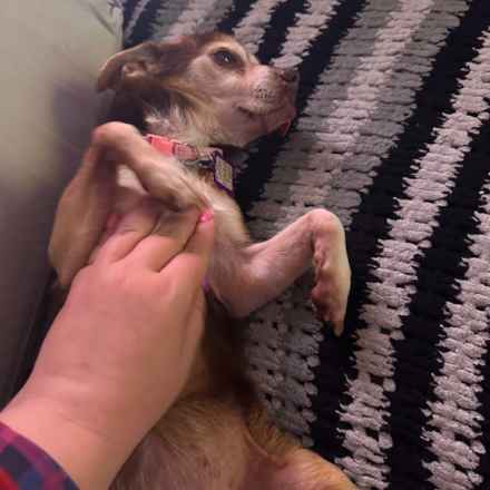 Taylor Frankie Paul (Lola)