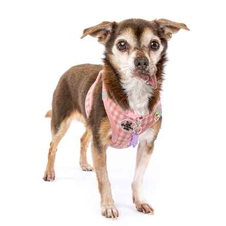 Taylor Frankie Paul (Lola)