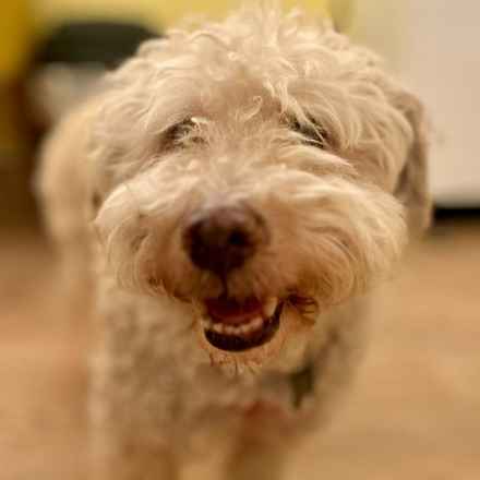 Ker-Plunk (renamed Echo)