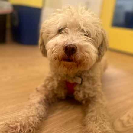 Ker-Plunk (renamed Echo)