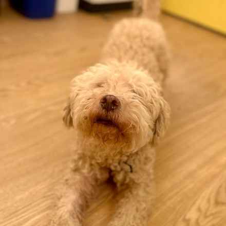 Ker-Plunk (renamed Echo)