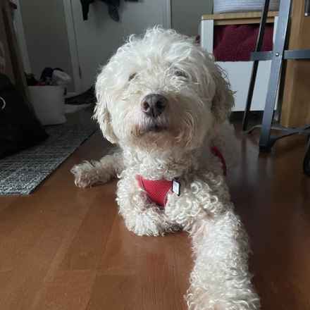 Ker-Plunk (renamed Echo)