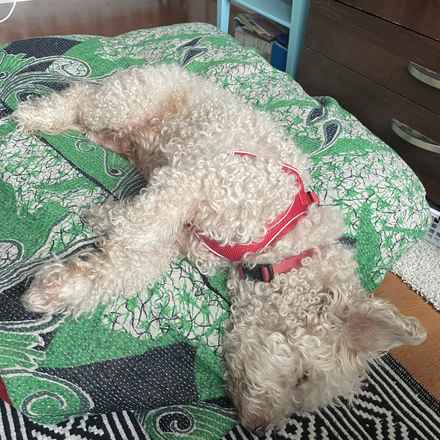 Ker-Plunk (renamed Echo)