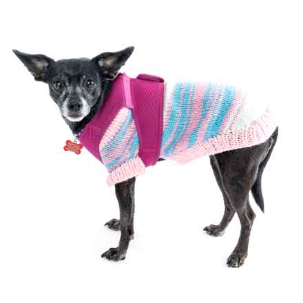 Wintermelon (Sophie)