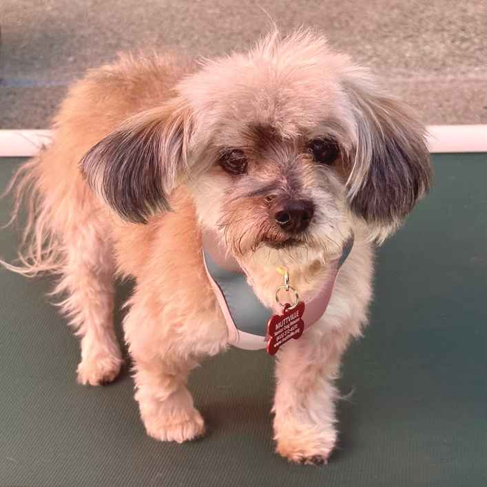 Tammy from Marketing