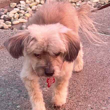 Tammy from Marketing