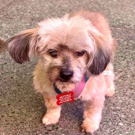 Tammy from Marketing