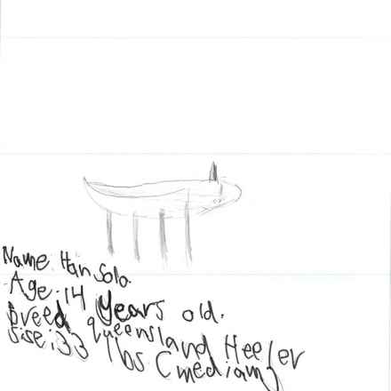 Han Solo (Sourdough)