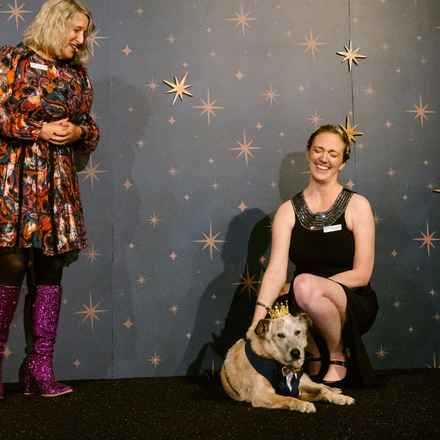 Han Solo (Sourdough)