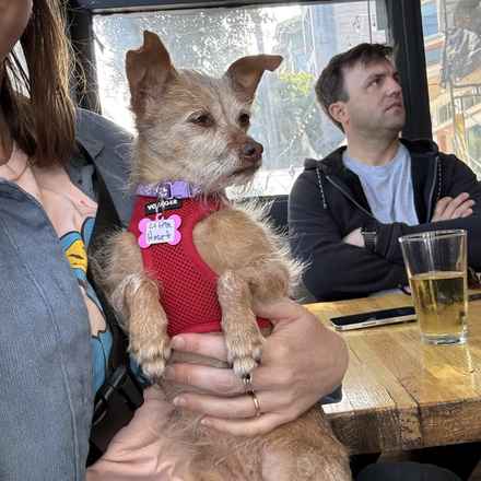 Little Heart (Honey)