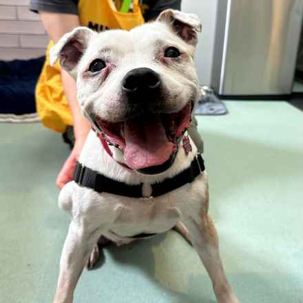 Marinara (aka Ruthie)