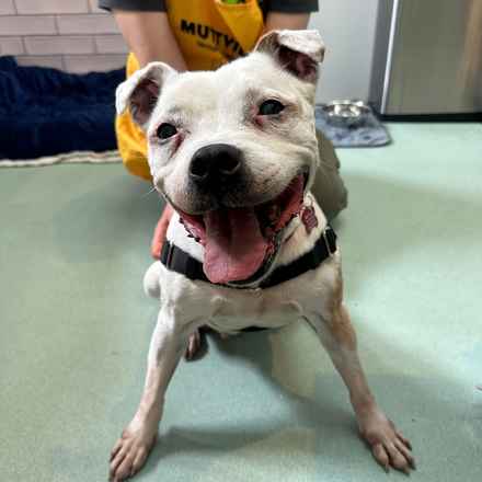 Marinara (aka Ruthie)