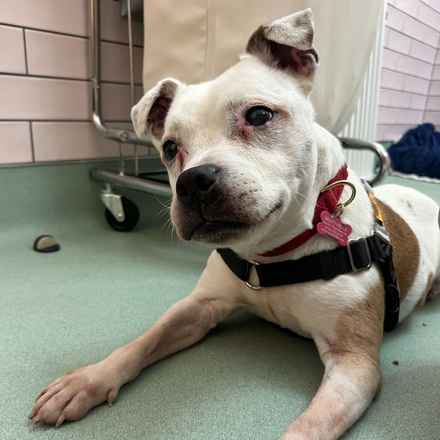 Marinara (aka Ruthie)