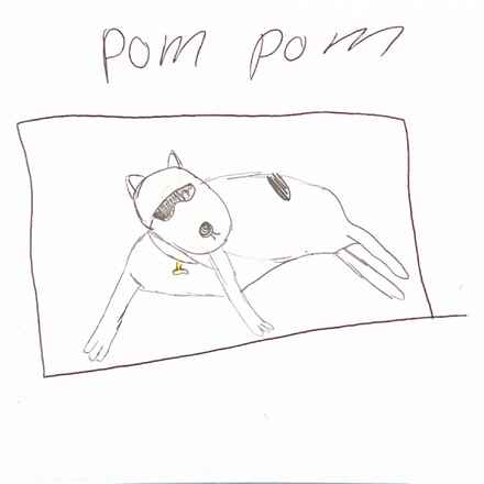 Pom Pom