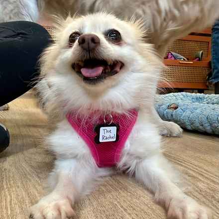 The Rachel (Gnocchi)