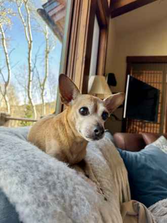Daisy!!