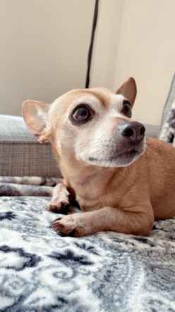 Daisy!!