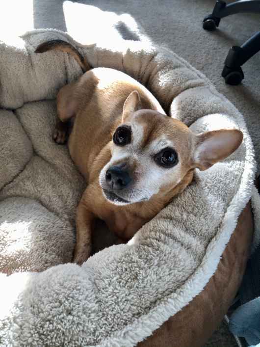 Daisy!!