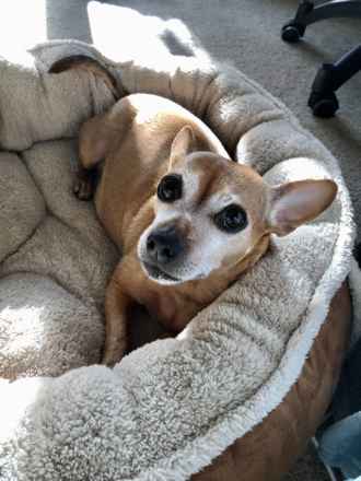 Daisy!!