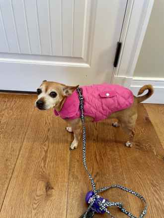 Daisy!!