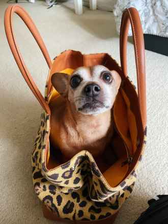 Daisy!!