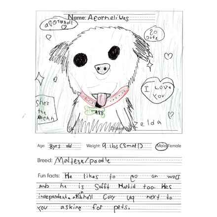 Acornelius