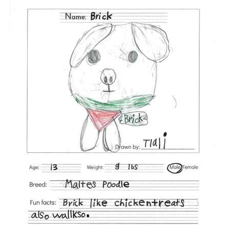 Brick