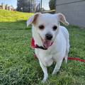 Lana!