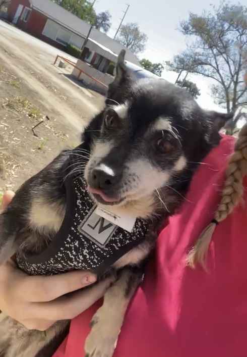 Molly!!