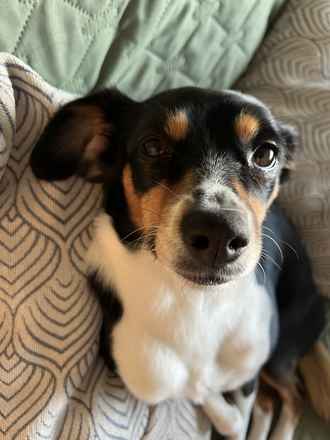 Bailey!!