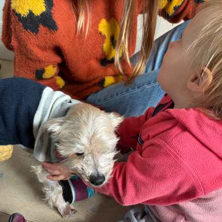 Smurf