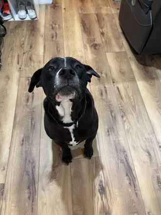 Ernie!