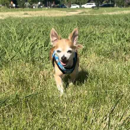 Radar