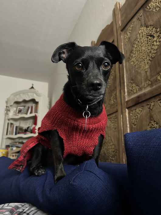 Coco!.