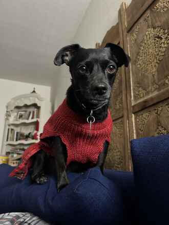Coco!.