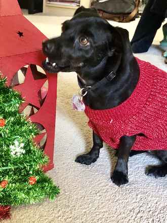 Coco!.