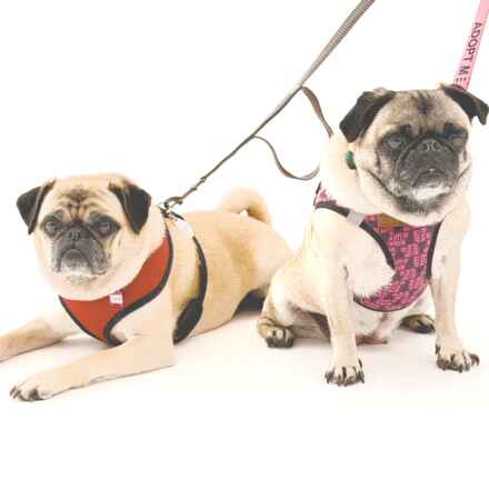 Olympic & Cascade
